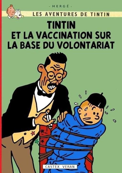 Tintin et la vaccination volontaire